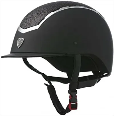 L'estomac dans l'étalon !