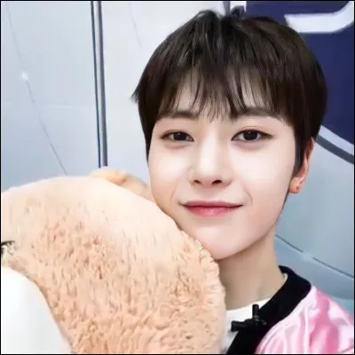 Quelles langues peut-il parler ?