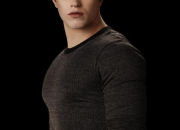 Quiz Twilight : Emmett Cullen