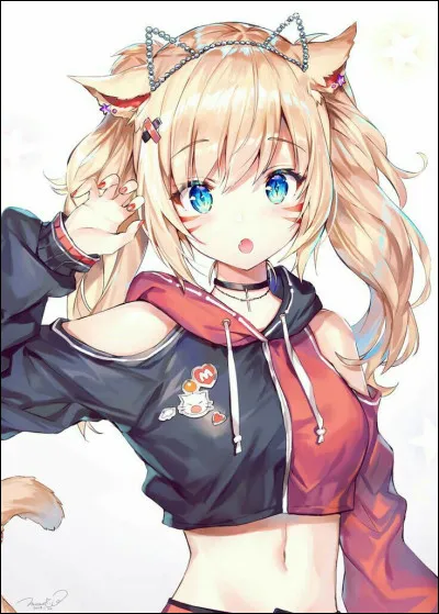 Tu voudrais qu'il ou elle soit...