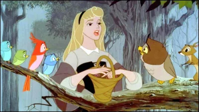 Quel est le nom de cette princesse ?