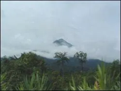 Volcan encore actif, je culmine à 4 070 m à l'est du Cameroun et suis également connu par la course à pieds qui s'y déroule, je suis :