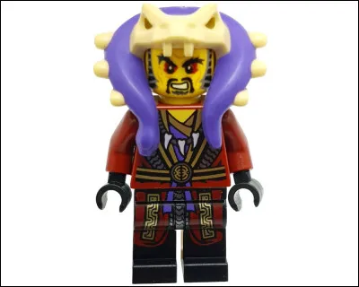 Qui a détruit le bâton des éléments de Chen ?