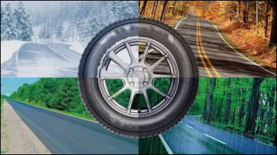 Quelle est ta saison préférée ?