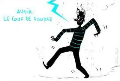 Que signifie l'expression : "Avoir un coup de foudre" ?