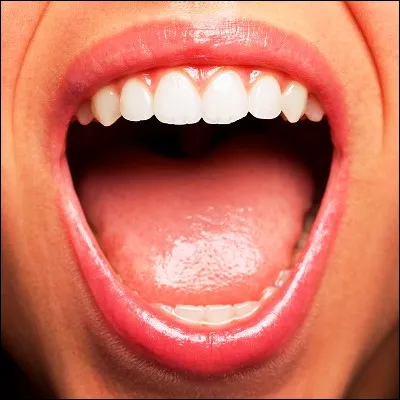 Quel ulc&egrave;re superficiel douloureux appara&icirc;t g&eacute;n&eacute;ralement dans la bouche ?