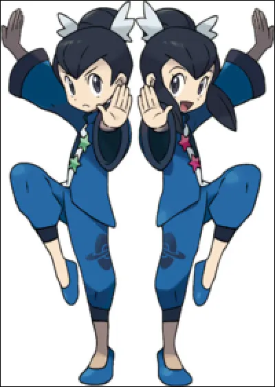 Lévy et Tatia sont les Champions jumeaux de l'Arène d'Algatia (Hoenn, septième badge). Quelle est leur équipe dans Pokémon Rubis et Saphir ainsi que dans les remakes ?