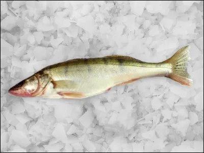 La spodomancie, c'est la divination par...