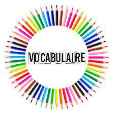 Comment les Gitans appellent-ils un non-Gitan ?