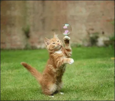 Avec une estimation avec des chiffres, es-tu beaucoup câlin ? 
(Le chiffre le plus petit veut dire que tu n'es pas beaucoup câlin.)