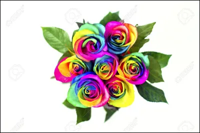 Quelle plante/fleur aimes-tu ?