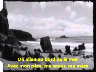"Les Vacances au bord de la mer" est une chanson de :