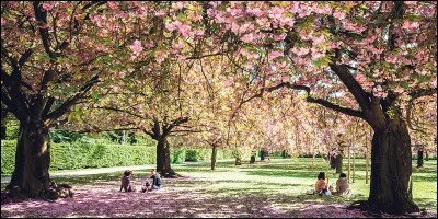 Littérature : Quel écrivain est l'auteur du poème "Printemps" qui débute ainsi : "Voici donc les longs jours, lumière, amour, délire ! Voici le printemps ! mars, avril au doux sourire, Mai fleuri, juin brûlant, tous les beaux mois amis !" ?