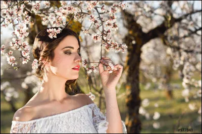 Musique : Qui a chanté en 1964 : "Les filles sont jolies Dès que le printemps est là Mais les serments s'oublient Dès que le printemps s'en va" ?