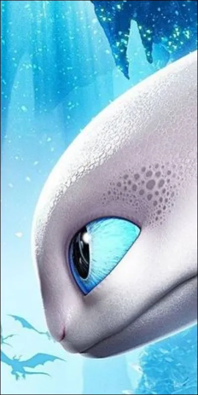 De quelle espèce de dragons est la compagne de Krokmou dans ''Dragon'' ?