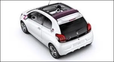 Quel est ce petit modèle ?