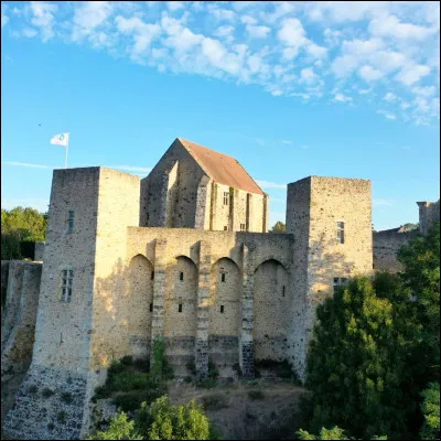 Comment s'appelle ce château ?