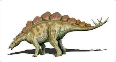 Ce nouvel herbivore fait partie, lui, en revanche, de la famille des stégosauridae. Quel est le nom de son espèce ?