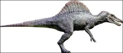 Vous connaissez la question : quel est le nom de ce dinosaure, faisant partie de la grande famille des Spinosauridae ?