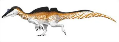 Dans la même famille, sur cette image, nous pouvons aussi retrouver l'...