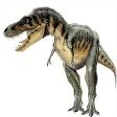 Maintenant, la famille des Tyrannosaures. Sur cette image, se trouve un...