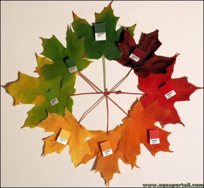 Choisis une couleur.