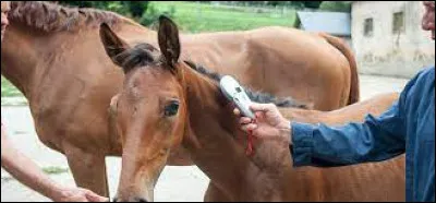 Quelle est l'autre nom de la puce électronique ?