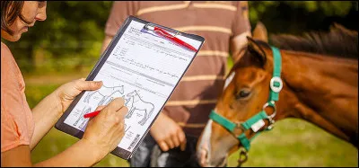 Qu'es qu'un cheval plein papier ?