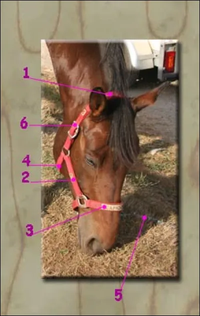 Quel est le nom de la partie n&deg;1 ?