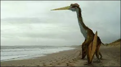 Quelle taille fait celui-ci ?