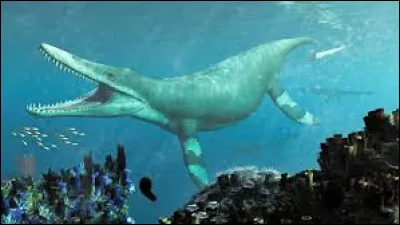 Que mangeait celui-là ?