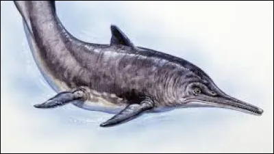 Quel poids faisait le Mixosaurus ?