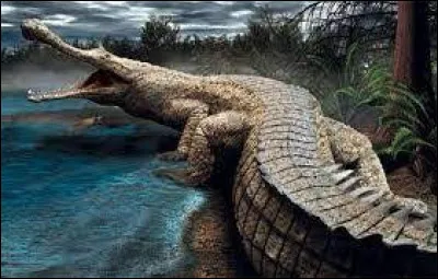 Comment s'appelle celui-là ?