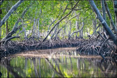 Comment es-tu vis-à-vis de la nature ?