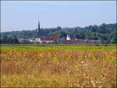 Notre balade commence dans le Centre-Val-de-Loire, à Angé. Village de l'arrondissement de Romorantin-Lanthenay, il se situe dans le département ...