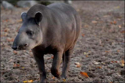 Vous "tromper" ne sera pas de bon augure !