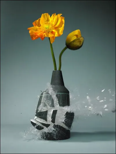 Et quels défauts pourriez-vous vous attribuer ?