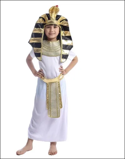 Dans quelle époque de lhistoire aurais-tu aimé vivre ?