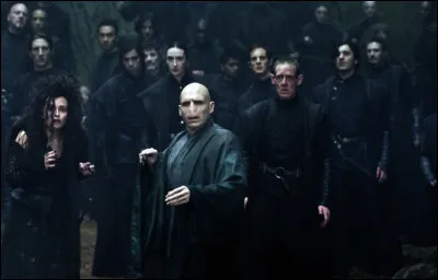 Dans le monde de ''Harry Potter'', qui préférerais-tu être ?