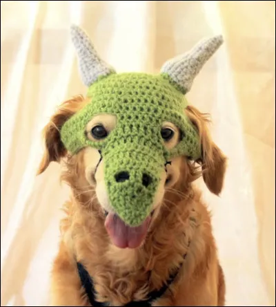 Quel est ton animal fétiche ?