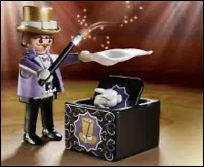 Si tu étais un magicien, tu serais :