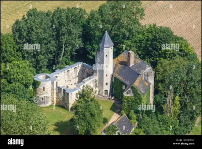 Tu préfères être :