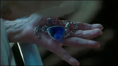 Quels sont les objets, appartenant à Rose, retrouvés par les chercheurs au début du film ?