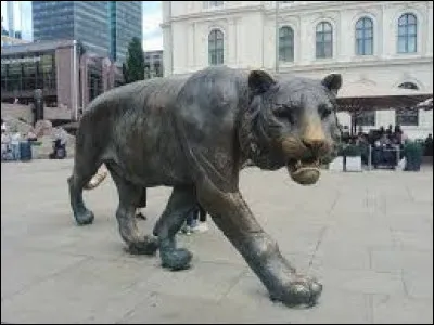 Oslo est surnommée la ville du tigre. Pour quelle raison ?