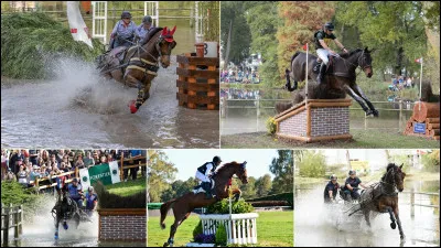 Quelles sont les épreuves du concours complet d'équitation ?