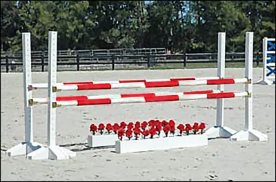 Comment s'appelle cet obstacle ?