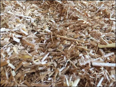 Cite les différentes litières.