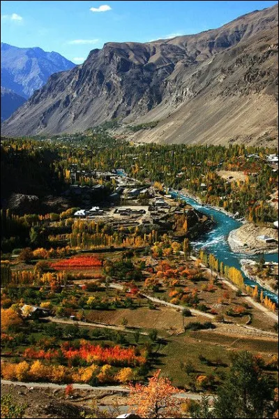 Je viens du Turkménistan,on me surnomme "cheval à la robe d'or''. Qui suis-je ?