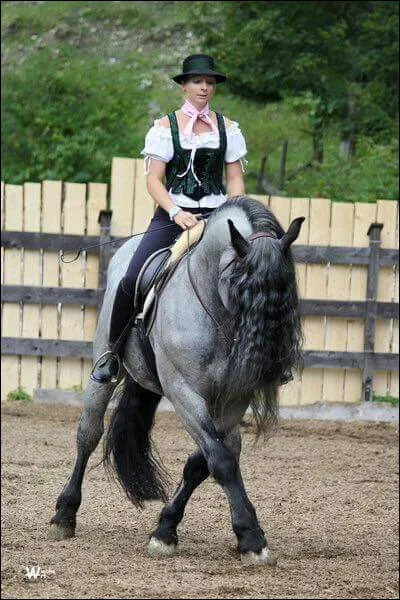 Mon nom vient du mot latin "noricum" et je viens d'Autriche. Qui suis-je ?