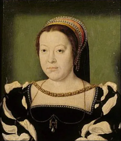 De 1559 et 1576 cette femme a été la plus puissante de France. À elle seule, elle incarne la richesse de la ville de Florence en Italie. Mais elle est aussi tristement célèbre pour son rôle dans le massacre de la nuit de la Saint-Barthélemy. Qui est cette femme ?